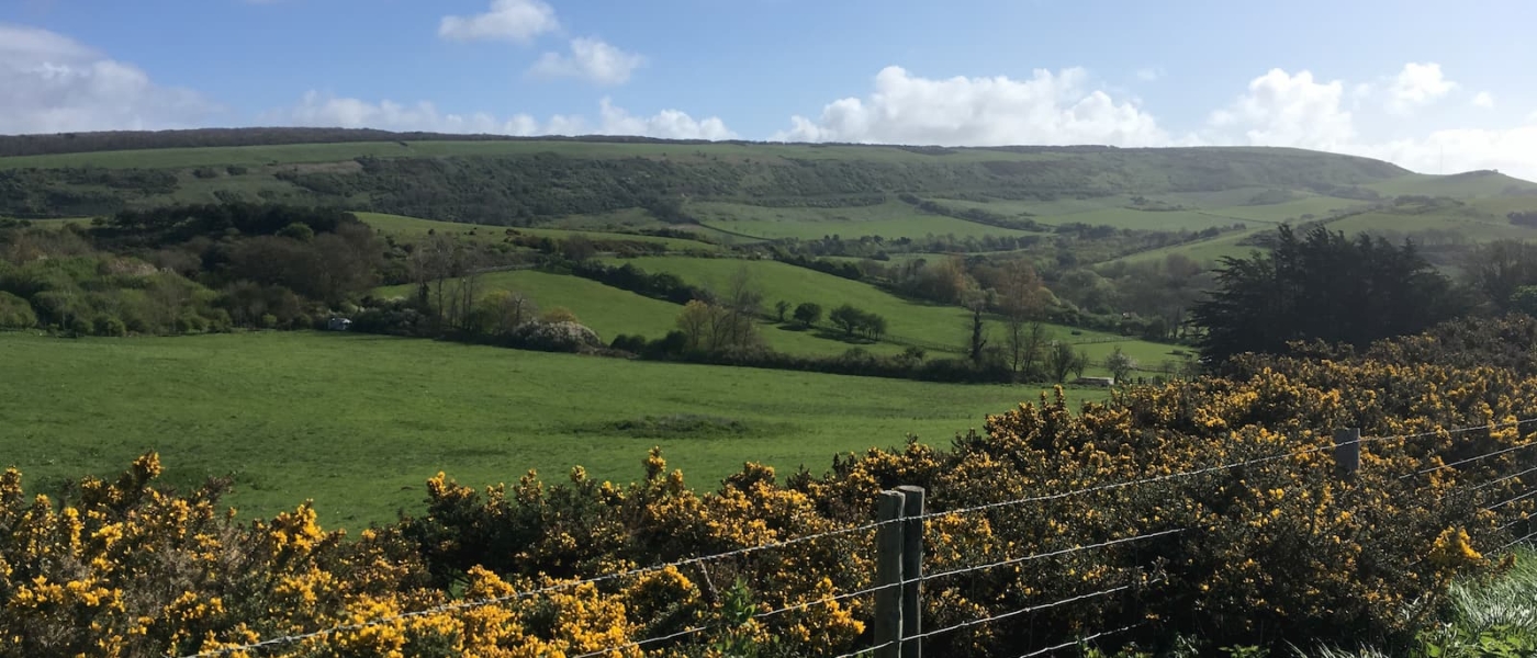 The Downs Brighstone